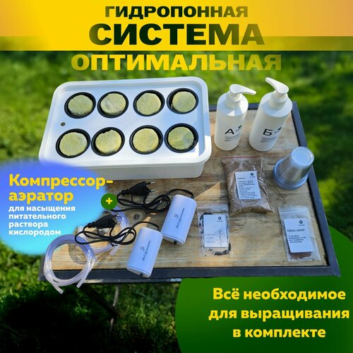 ������ ������ ����������� ������� ������ ����������� c ��������� ����