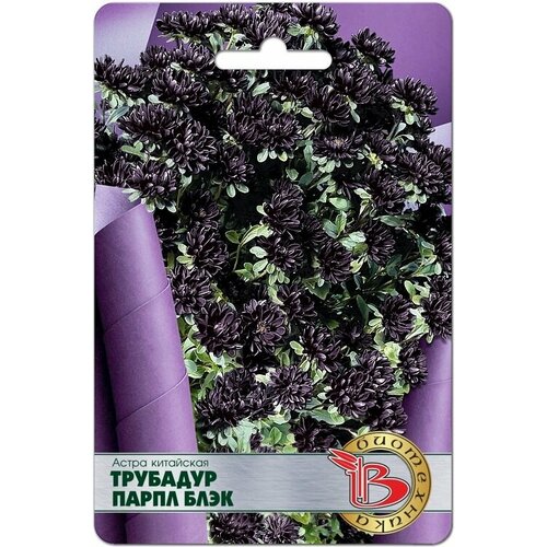 ������ ������ ������ ����� ��������� �������� ����� ���� (20 �����) ����