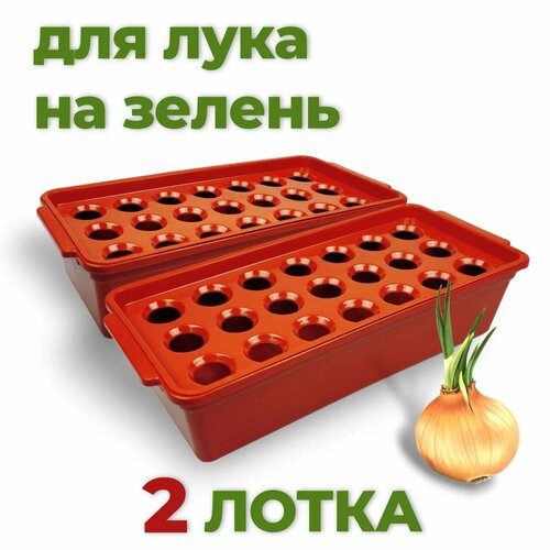 ������ ������ ����� ��� ����������� ����, 21 ������, 2 ����� ����