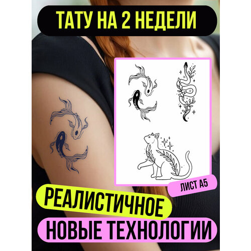 ������ ������ ���� ���������� �������������� �������� ����