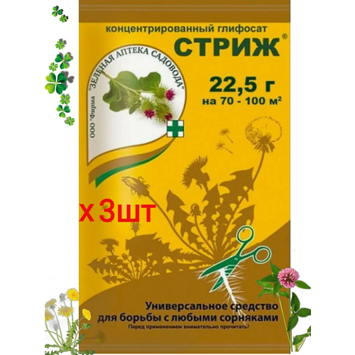 ������ ������ �������� ������ �������� 