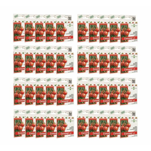 ������ ������ ����������������� ������, 40 �� �� 20 �������� ����