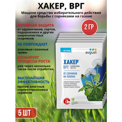 ������ ������ �������� �� �������� �� ������ �������� ����� 2 �, 5 �� ����