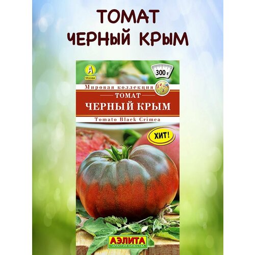 ������ ������ ������ ����� ������ ���� 20�� ����� (������) ����