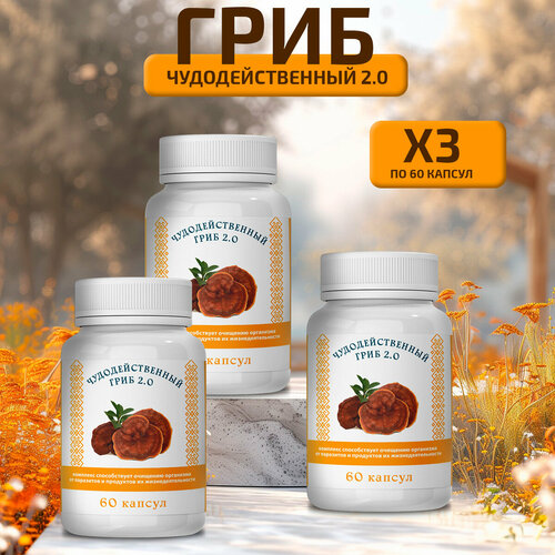 ������ ������ ��������������� ���� �� ��������� � �������� ����