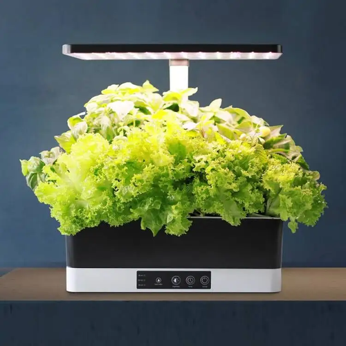 ������ ������ ����� ��� J & C ����