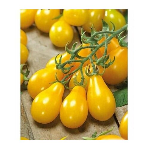 ������ ������ ������������� ������ ������ ������ ����� ����