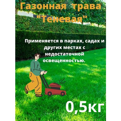 ������ ������ �������� ����� 