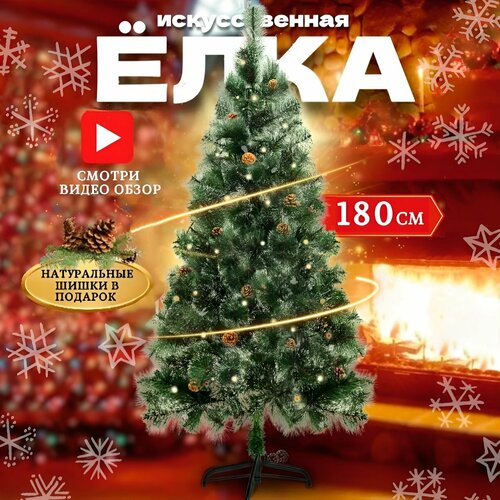 ������ ������ ������������� ���� ���������, �� ���, 180 ��, ��������, ����� ����