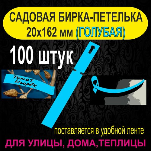 ������ ������ ������� �����-�������� 20x162 ��. 100 ���� (�������) ����