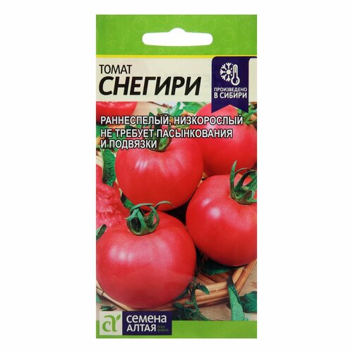 ������ ������ ������ ����� 