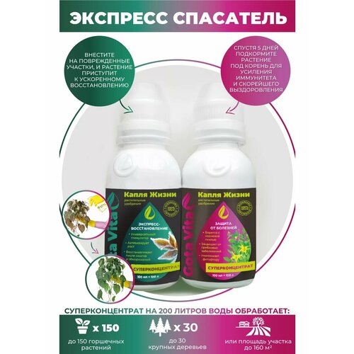 ������ ������ ����� ��������� ��� �������������� ����