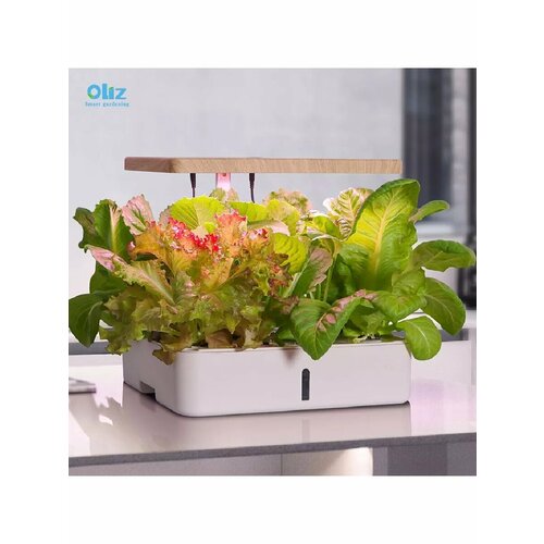 ������ ������ ����� ��� ��� ������������ ����������� ������� ����