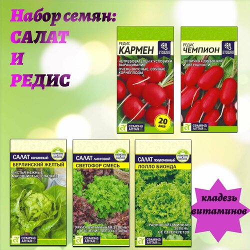 ������ ������ ����� � ����� ��� ������ ����. ������ ����� ����