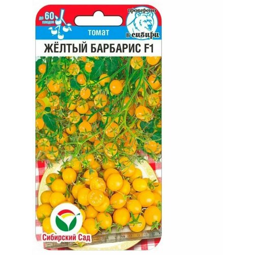 ������ ������ ������ ������� ����� ������ �������� (1 ��������-15 ��) ����