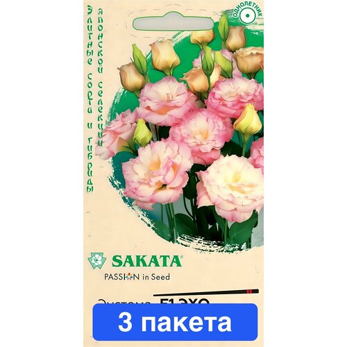 ������ ������ ����� ������� ��� ������� F1 ����� ������ ��������� 3 ������ ����