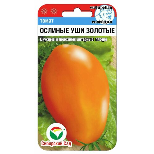 ������ ������ ����� ������� ��� ������� 20 ����� (��� ���) ����