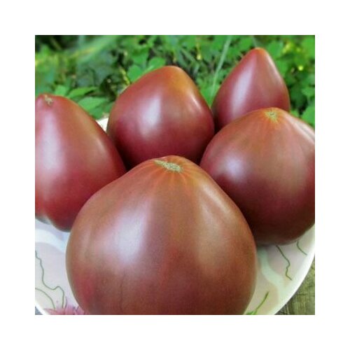 ������ ������ ������������� ������ ������ ���� ���������� ������ ����