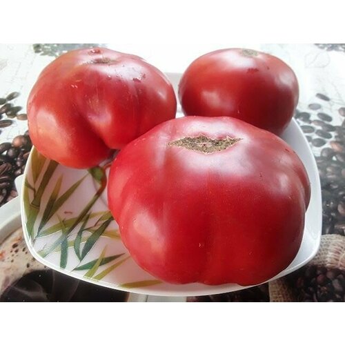 ������ ������ ������������� ������ ������ ���� ������� ����