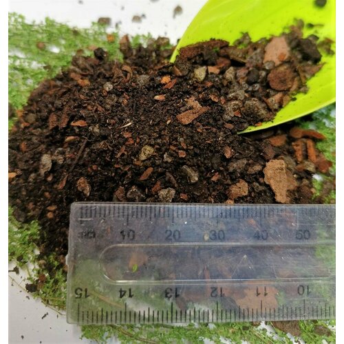 ������ ������ �������� 