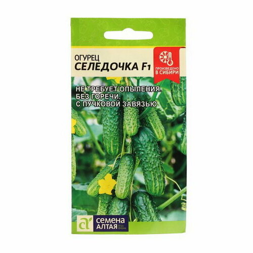 ������ ������ ������ ������ 