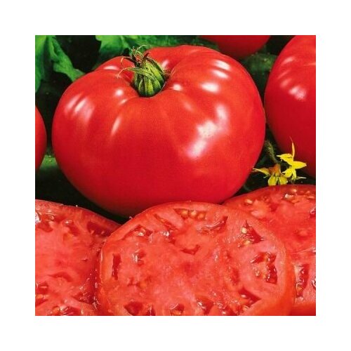 ������ ������ ������������� ������ ������ ������� ���� ����