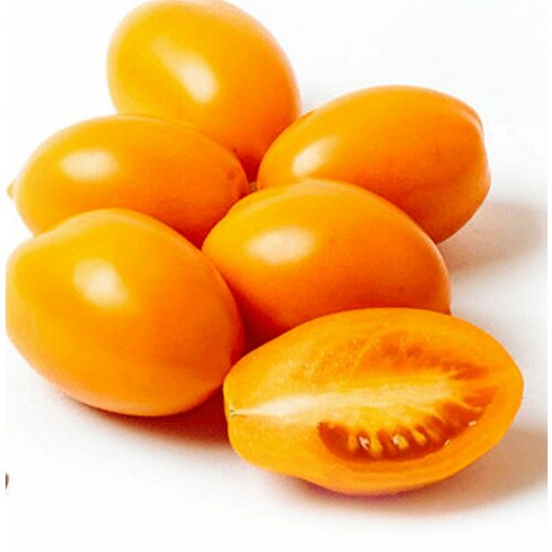 ������ ������ ������������� ������ ������ ������� ����