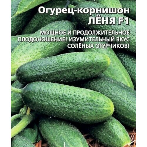 ������ ������ ������������� ������ ������ ˸�� F1 ����