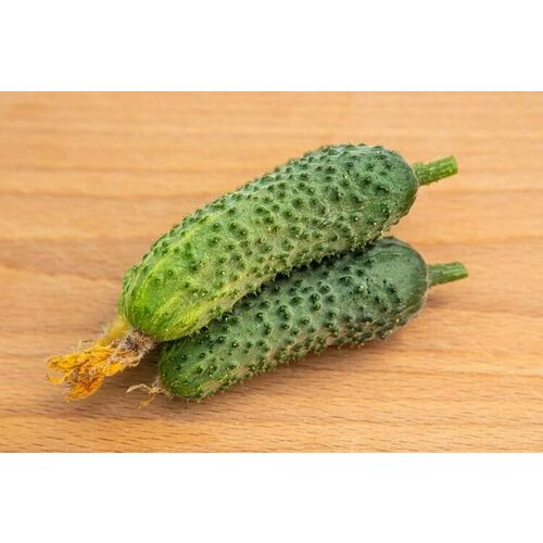 ������ ������ ������������� ������ ������ ����� F1 ����