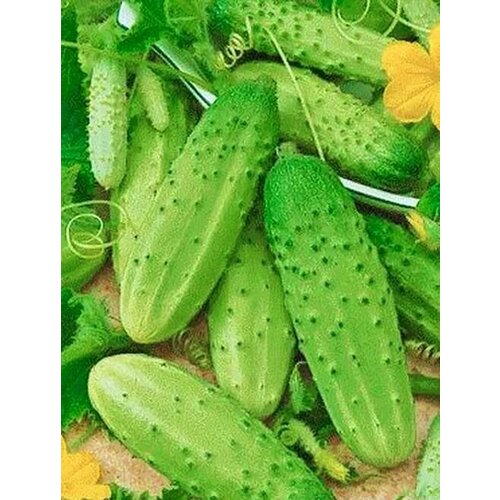 ������ ������ ������������� ������ ������ ������� ����