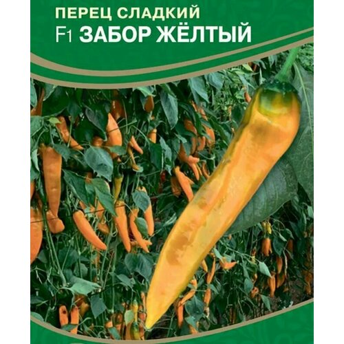 ������ ������ ������������� ������ ����� �������� ����� ������ F1 ����