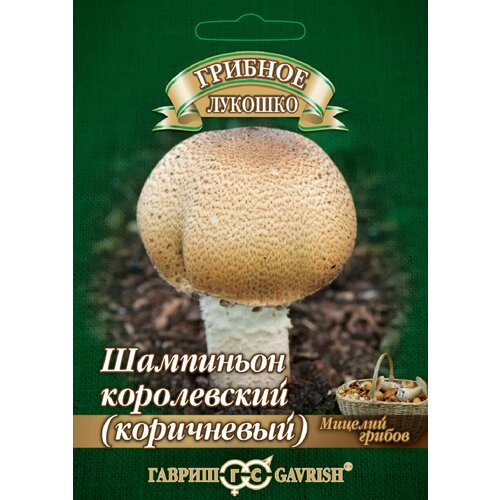 ������ ������ ������� ��������� ���������� �� �������� ���������, 15��, ������ ����