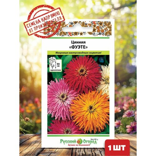 ������ ������ ������ ������ �����, ����� ����