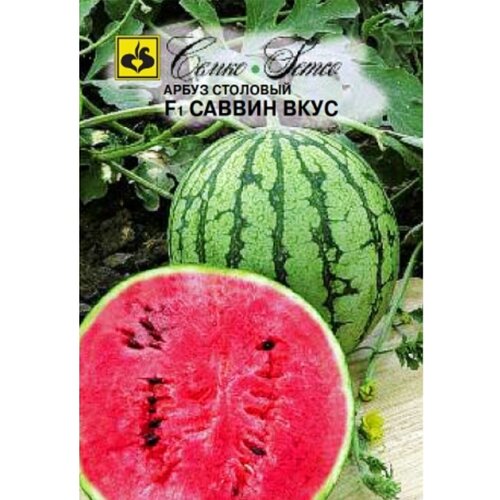 ������ ������ ����� ������ ���� F1 (5�����) ����