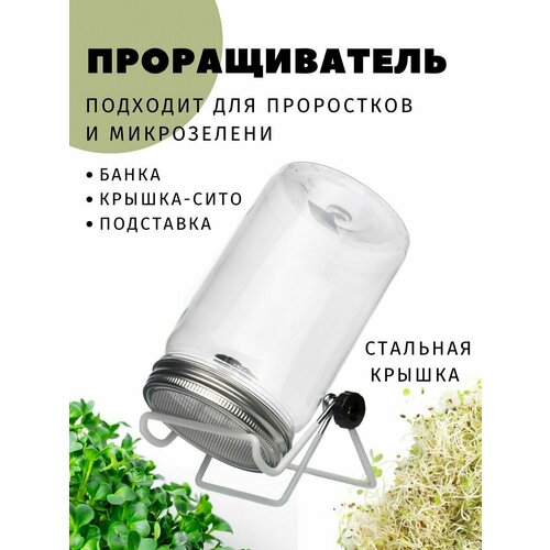 ������ ������ ������������� ����� � ����������� ������-���� ����