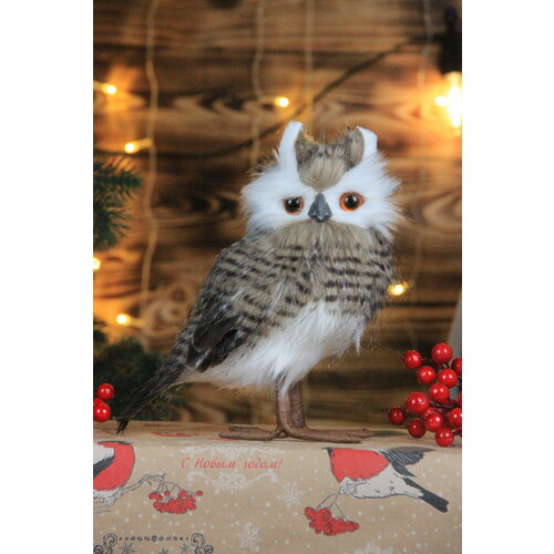 ������ ������ ���������� ������� �� ���� 