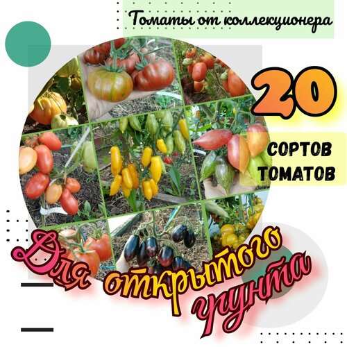 ������ ������ ������ �������, 20 ������ ��� ��������� ������, 200 ����� ����