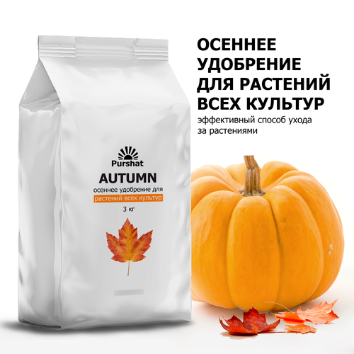 ������ ������ ������� ��������� ������, 3�� ����