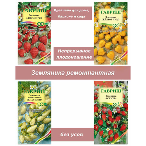 ������ ������ ����� �����, ������ ��������� ��� ����, ����, ����������� ����