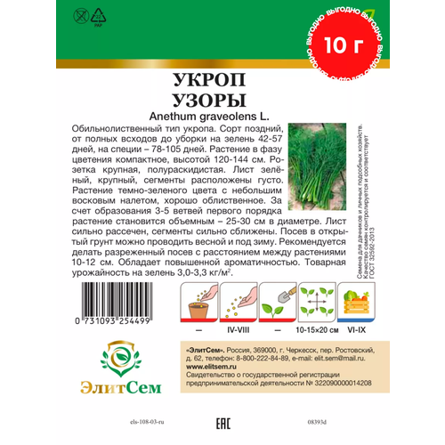 ������ ������ ������ ����� ����� BIG �������� XXXL 10 � (�������) ����