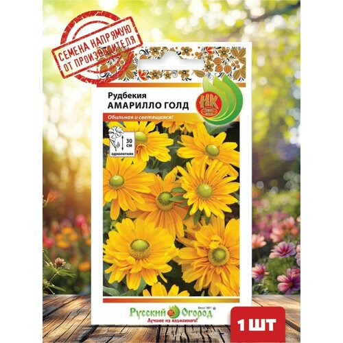 ������ ������ ������ �������� �������� �������� ���� ����