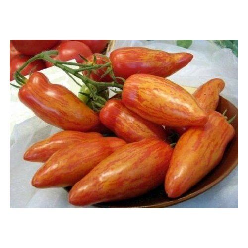 ������ ������ ������������� ������ ������ ���� ���������� ����