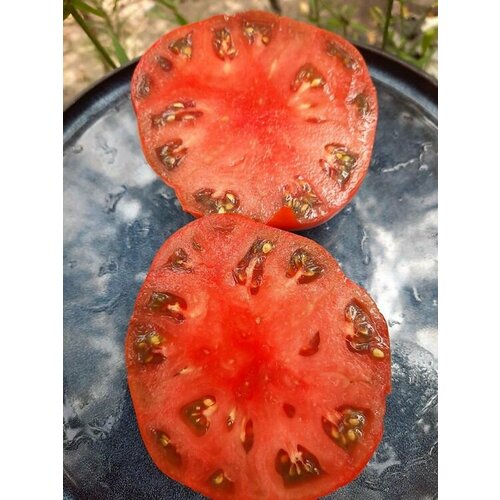 ������ ������ ������������� ������ ������ ���� �������� ������� ����