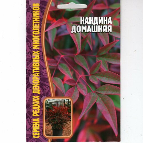 ������ ������ ������� �������� / ������������ ����������� ��������� ( 1 ��: 4 ������ ) ����