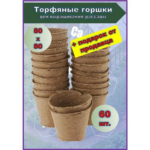 ������ ������ �������� ������ ��� ����������� ������� 80�80��, 60 �� ����