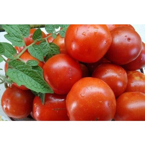 ������ ������ ������������� ������ ������ ������������� ������ ������� ����