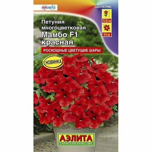 ������ ������ ������ ������� ����� F1 ������� �������, ����������, (������) 7�� ����