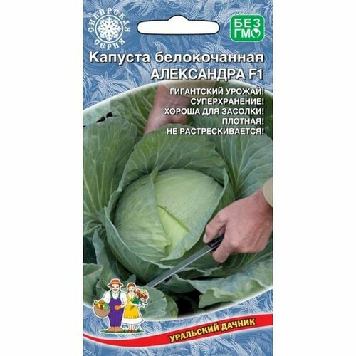 ������ ������ ������ ������� ������������ ���������� F1 0,3� ����