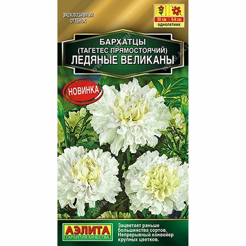 ������ ������ ������ �������� ������� �������� ����, ����������, (������) 7�� ������� ����� ����