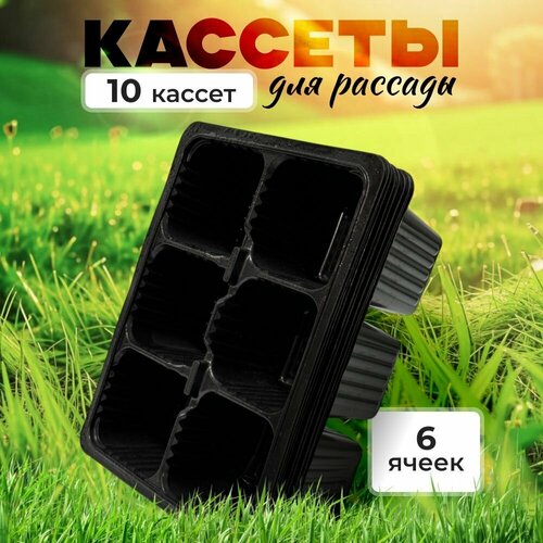 ������ ������ ������� ��� ������� - 6 �����, ����� 10 ���� ����